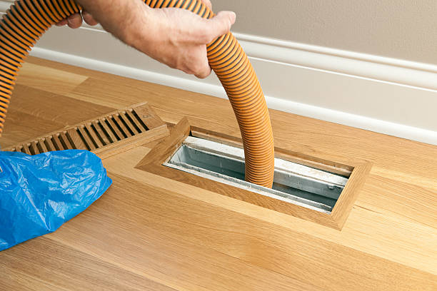 Best Air Duct Sanitizing Services  in Augusta, KY